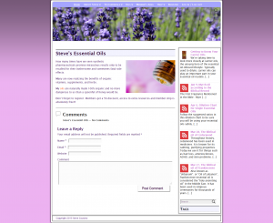 Steve's Essential Oils - Edens Lot